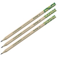 Карандаш чернографитный HB шестигранный деревянный без ластика "Berlingo" Green series BP00860