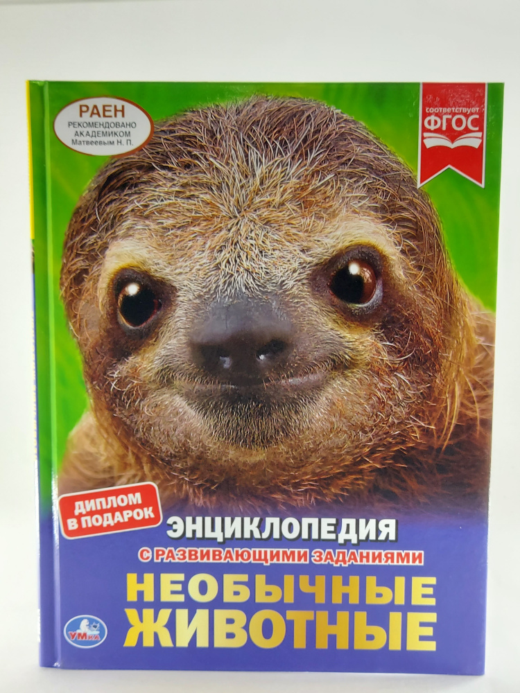 Энциклопедия Ассорти, А4, 48стр "Умка" 62608