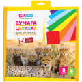 Наборы для поделок из бумаги Наборы для поделок из бумаги